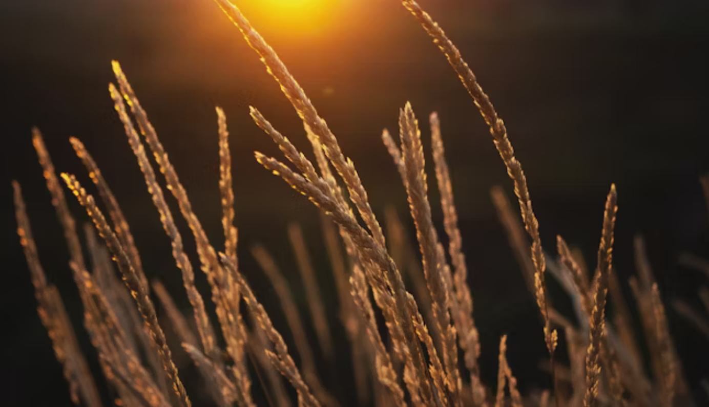 人力资源管理系统