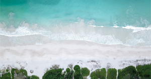 michael-olsen-501079-unsplash