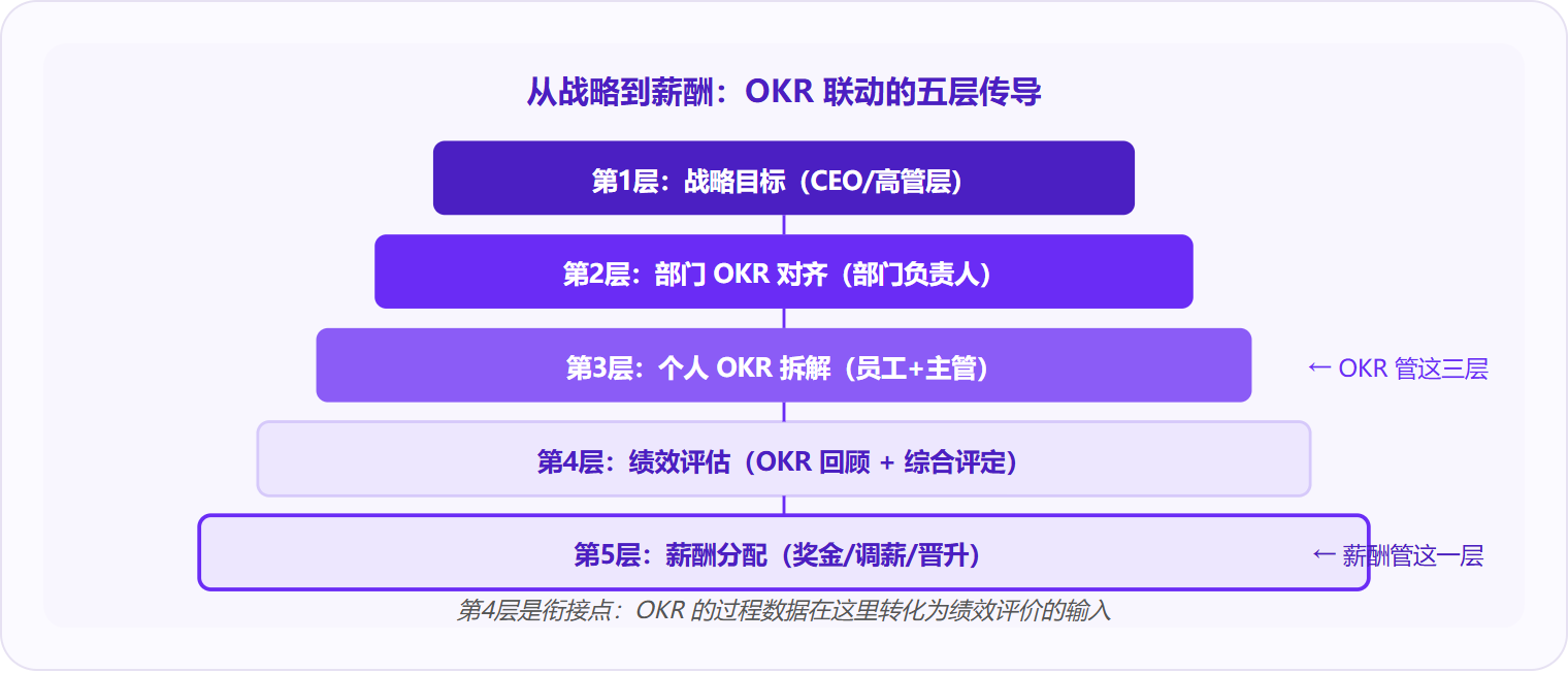 图 2:OKR 管理覆盖战略解码到个人目标的前三层,薪酬分配在第五层,第四层(绩效评估)是两者衔接的关键枢纽。