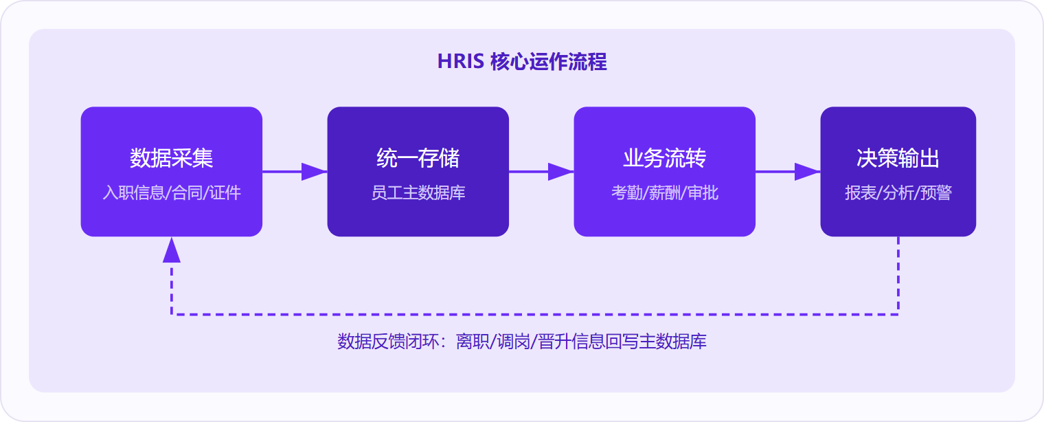 图 1:HRIS 通过"采集→存储→流转→输出"四步闭环运作,员工全生命周期数据在一个平台内完成归集、调用和反馈。