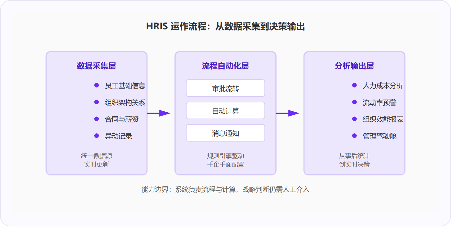 图 1:HRIS 通过三层架构将分散的人力数据转化为可执行的管理决策。